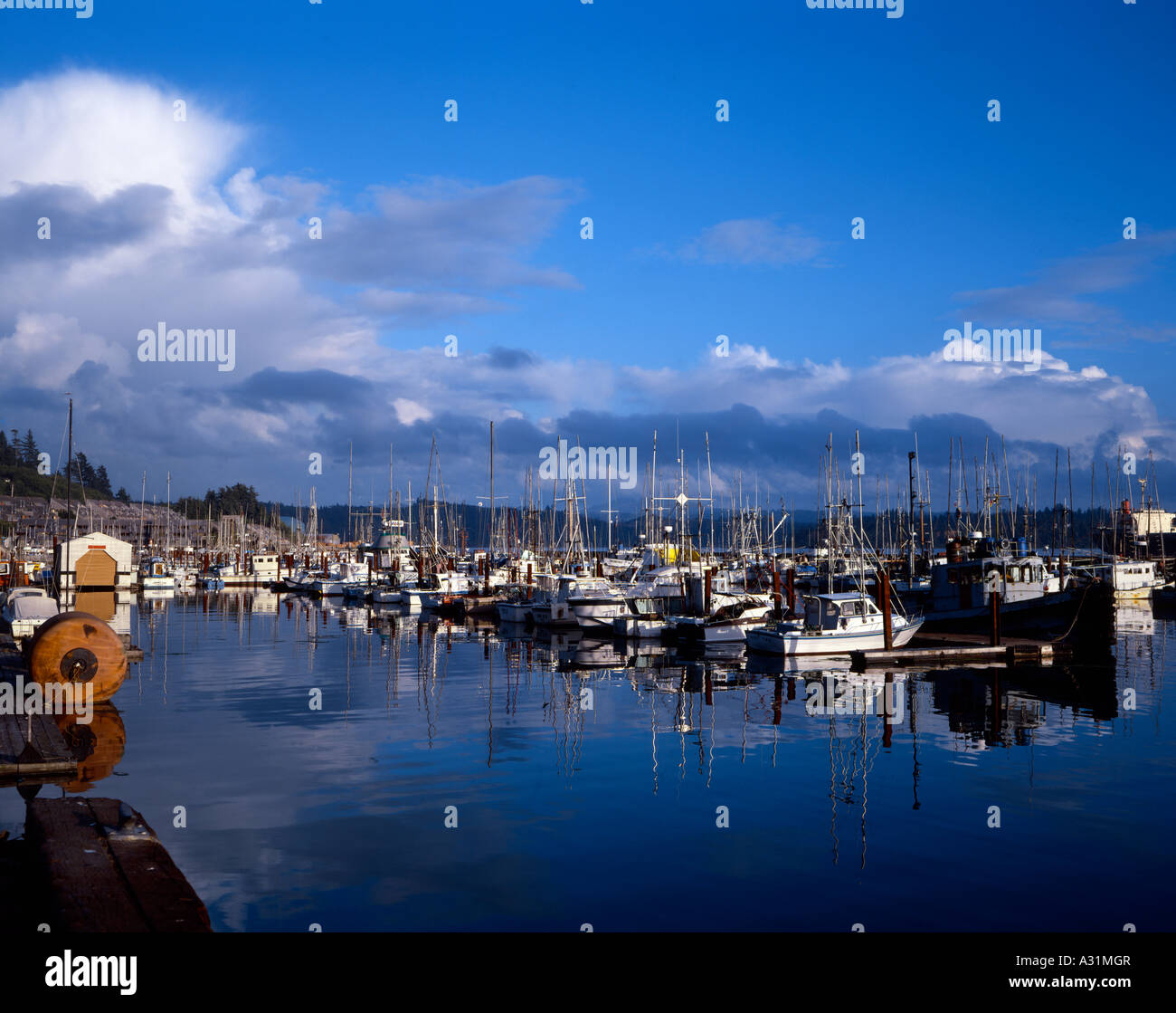 Newport Oregon porto di pescatori che illustra barche da pesca e le imbarcazioni da diporto ancorata tra viaggi per mare Foto Stock