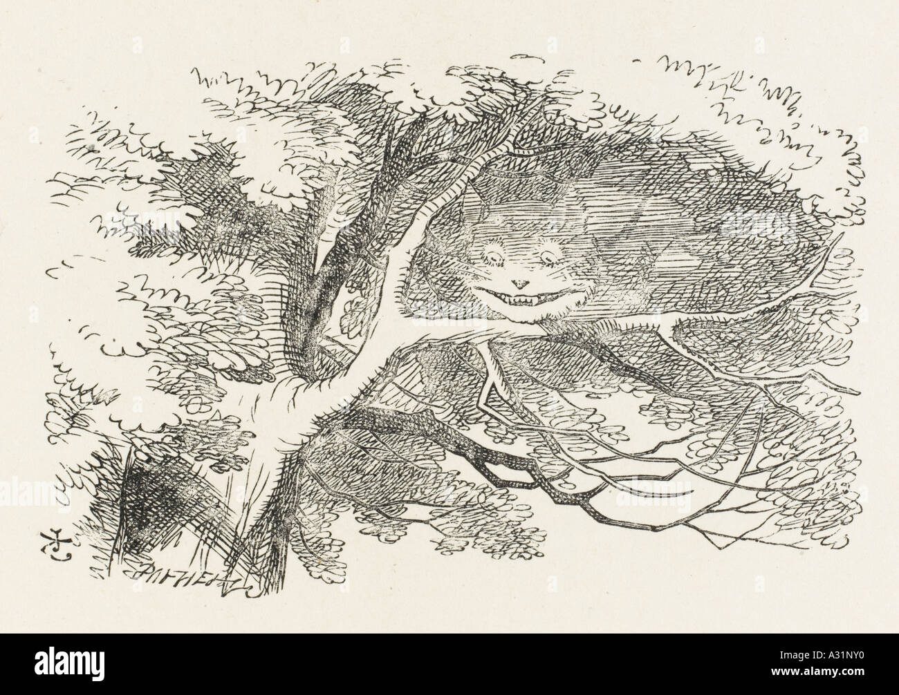 Carroll Cheshire cat Foto Stock