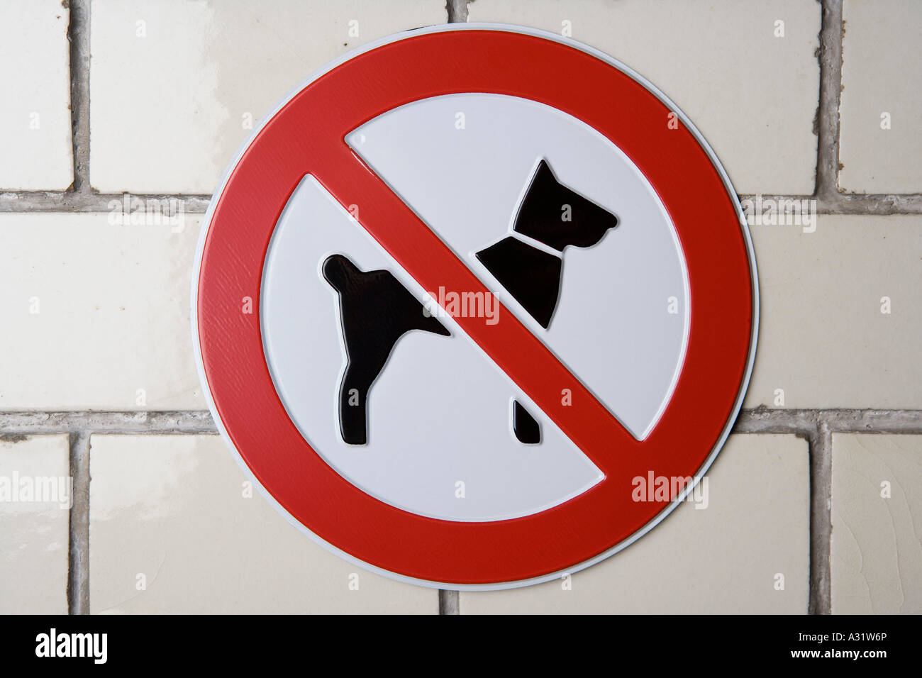 Non sono ammessi cani segno Foto Stock