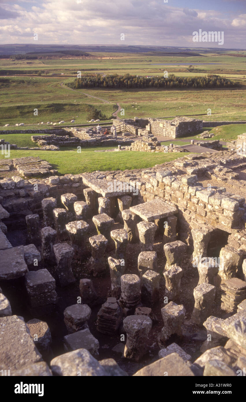 Commander's House rimane Vindolanda Roman Fort Northumberland REGNO UNITO Foto Stock