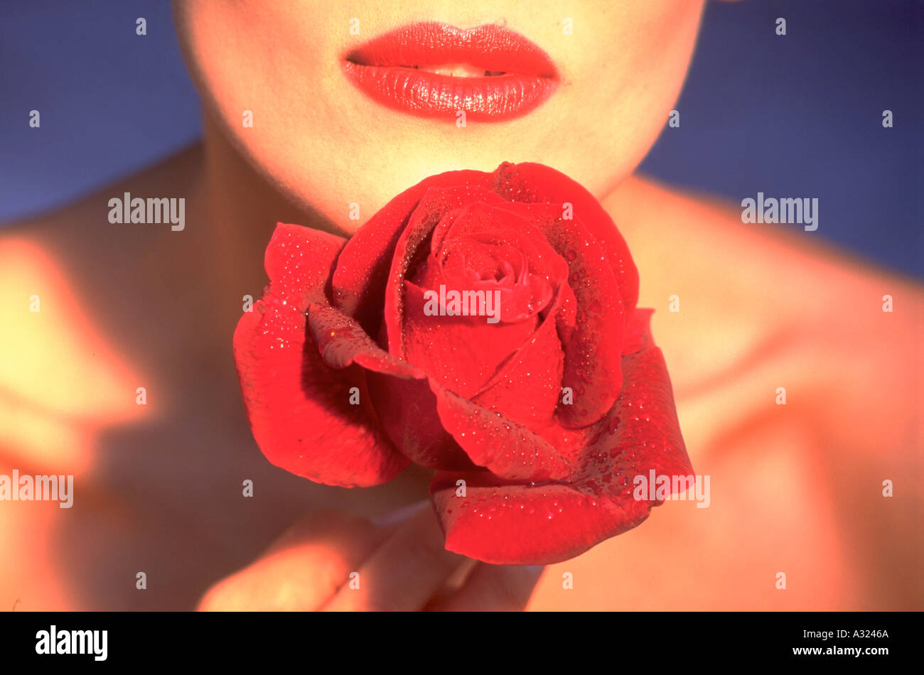 In prossimità di una donna in possesso di una rosa rossa per le sue labbra con un rossetto rosso Foto Stock