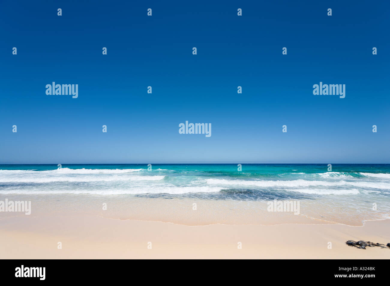Spiaggia nel Parque Natural de Corralejo, Fuerteventura, Isole Canarie, Spagna Foto Stock