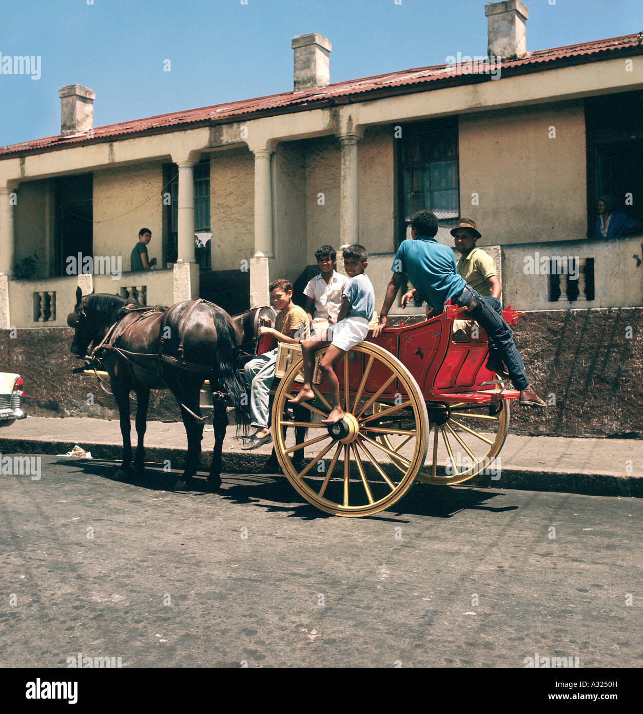 I bambini sul carrello di asino, District Six, Cape Town, Sud Africa (settanta) Foto Stock