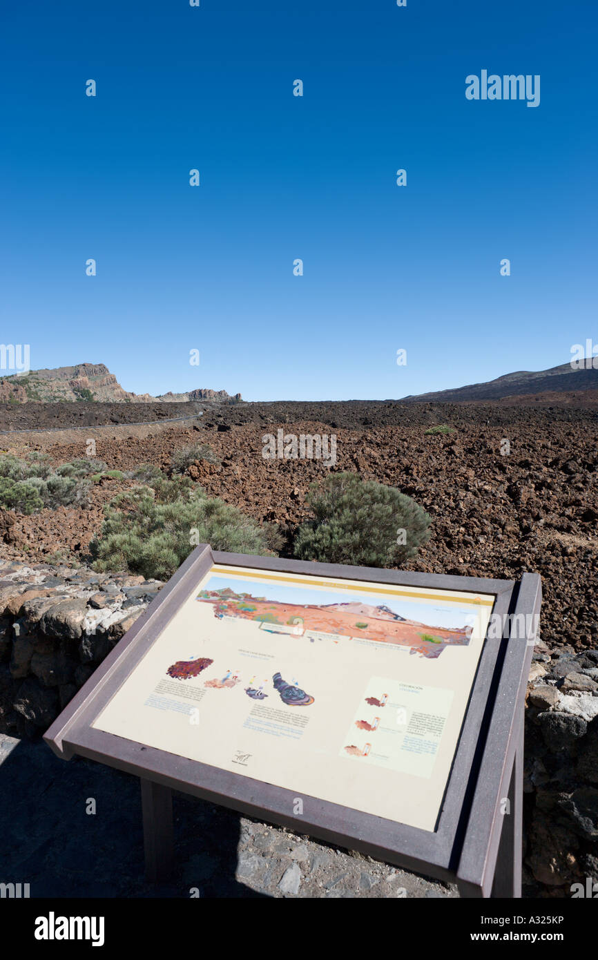 Tipico paesaggio, Las Canadas del Teide Tenerife, Isole Canarie, Spagna Foto Stock