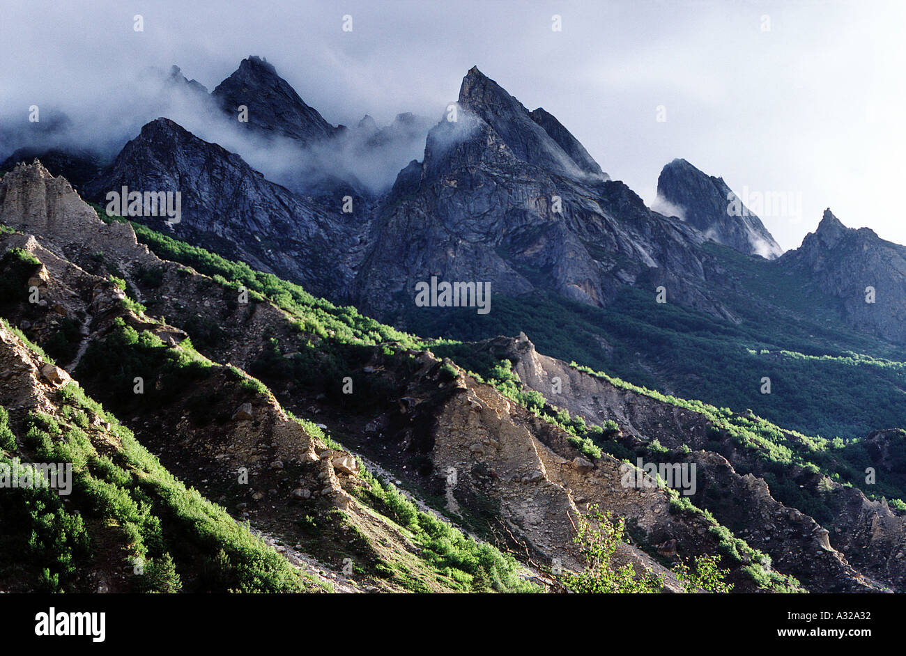 Indiano montagna himalayana scape verdi colline mist cime frastagliate Chirbasa Gangotri Himalaya Uttaranchal India Asia Foto Stock