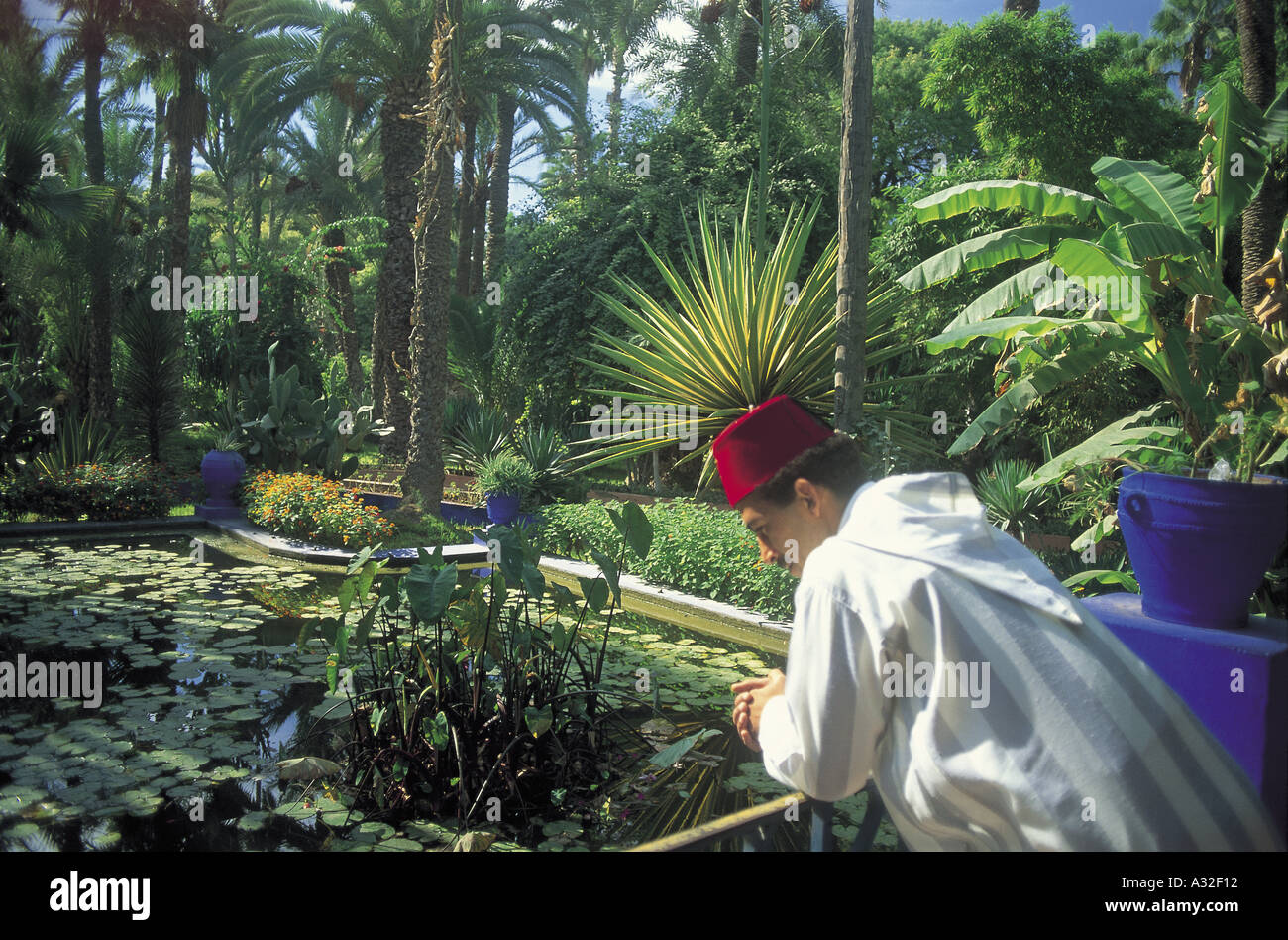 La Jardin Majorelle, creato da Yves Saint Laurent a Marrakech, Mlorocco Foto Stock