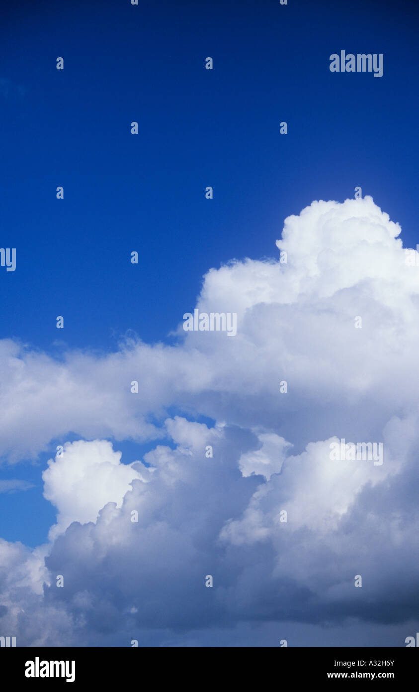 Il bianco e il grigio cumulus nuvole temporalesche raccolta contro il cielo blu chiaro Foto Stock