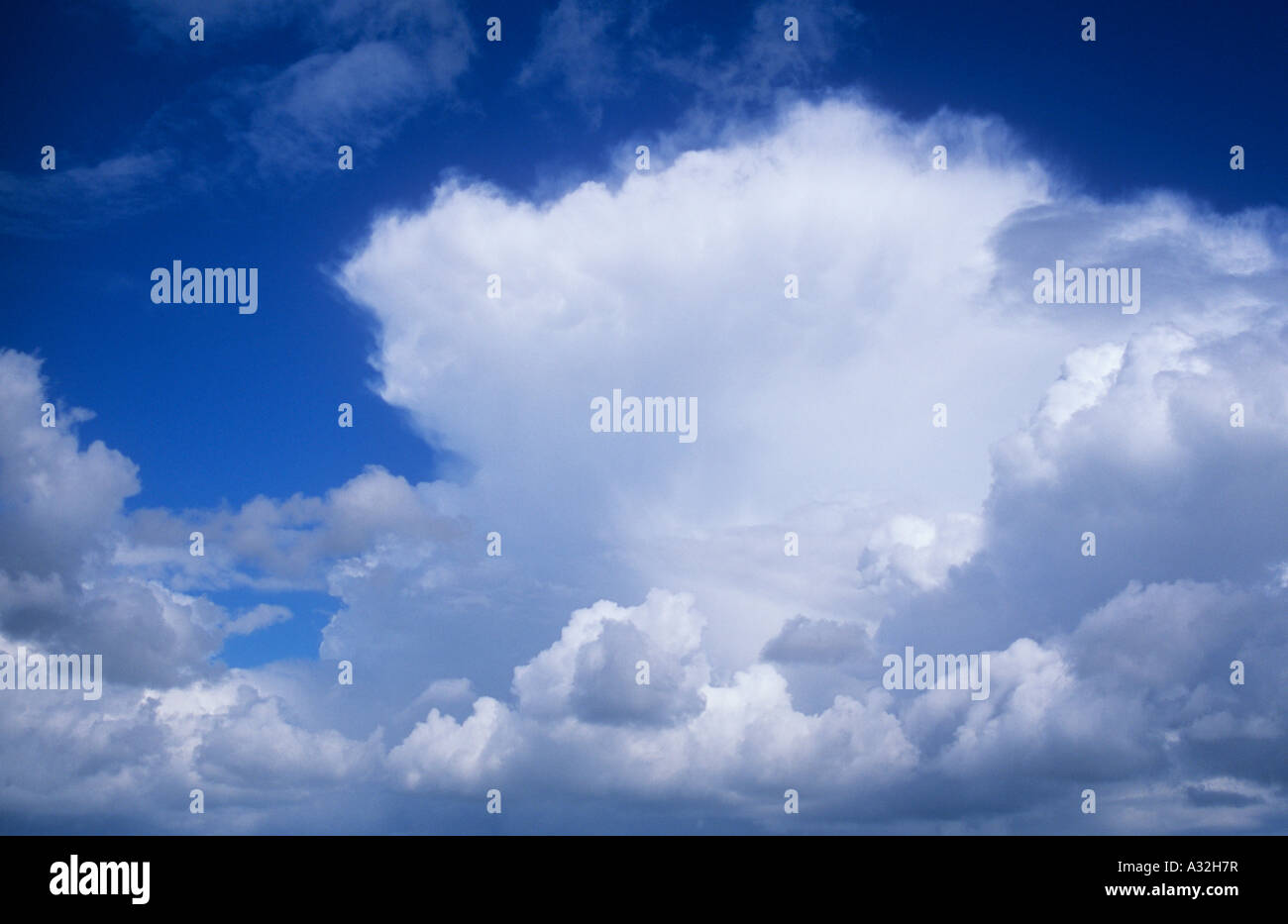 Il bianco e il grigio cumulus nuvole temporalesche raccolta contro il cielo blu chiaro Foto Stock
