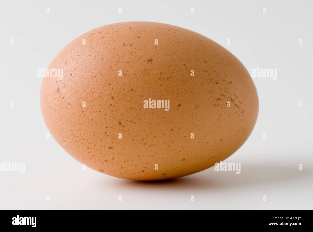 Free Range Egg sul retro bianco massa Foto Stock