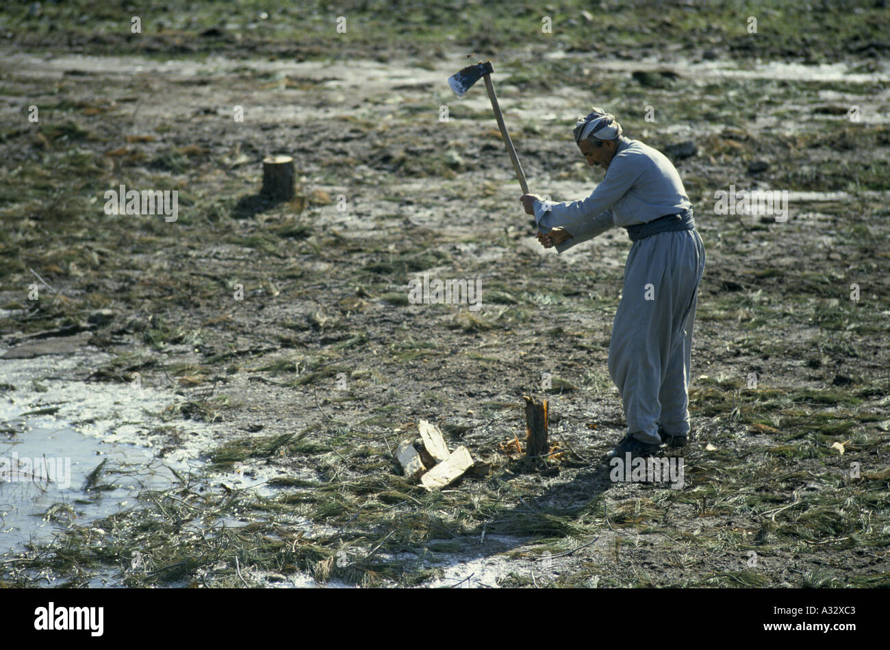 Un uomo di trinciatura di legno con un'ascia, Kurdistan, Iraq. Foto Stock