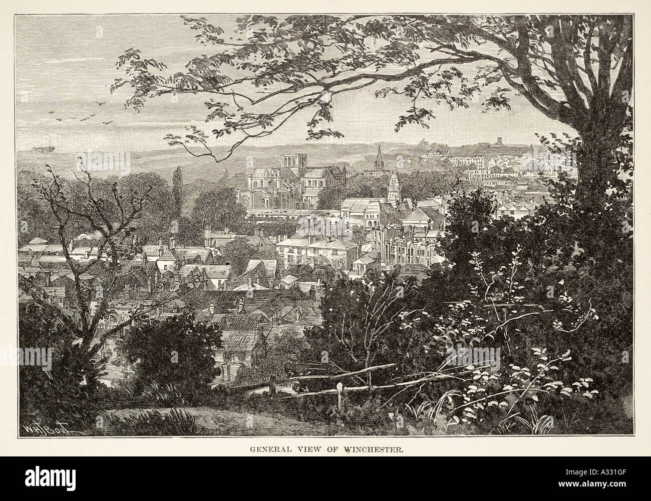 Winchester Hampshire Inghilterra rurale UK Regno Unito GB Gran Bretagna UE Unione europea EUROPA Foto Stock