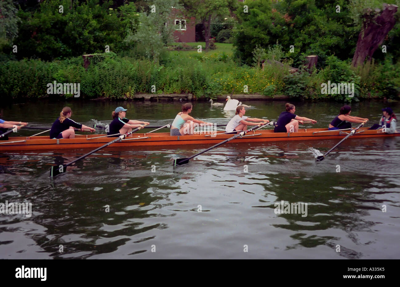 I rematori su una università womens equipaggio del team fila passato tre Cigni sul fiume Cam in Cambridge Inghilterra England Foto Stock