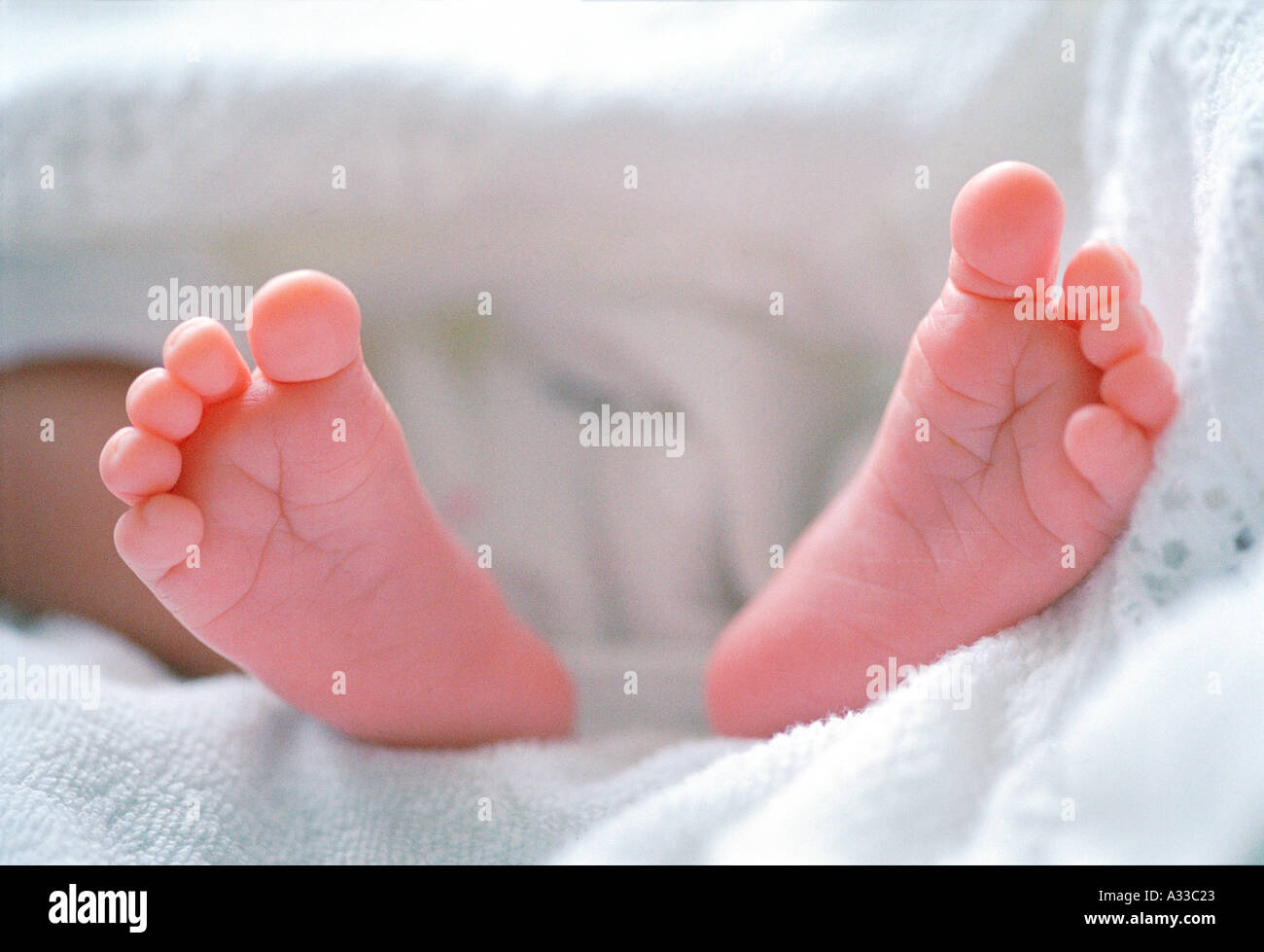 Neonato piedi Foto Stock