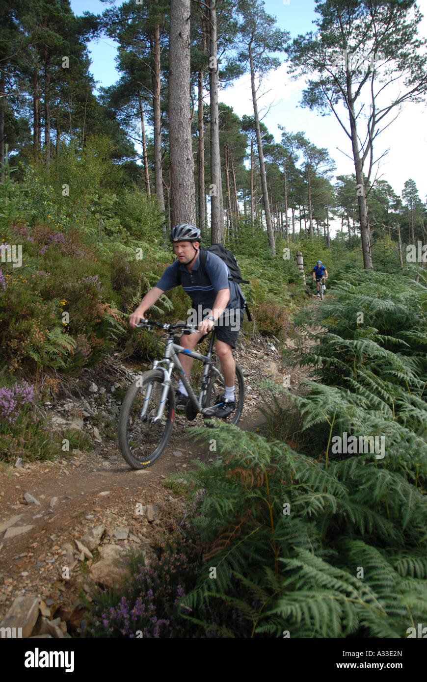 Mountain Bike Gwydyr Forest Snowdonia North West Wales Foto Stock