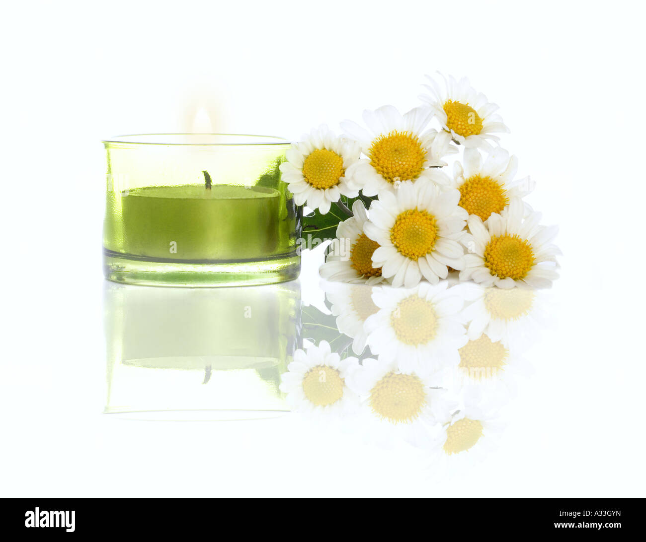 Margherite e candela con la riflessione su sfondo bianco Foto Stock Margherite e candela con la riflessione su sfondo bianco Foto Stock
