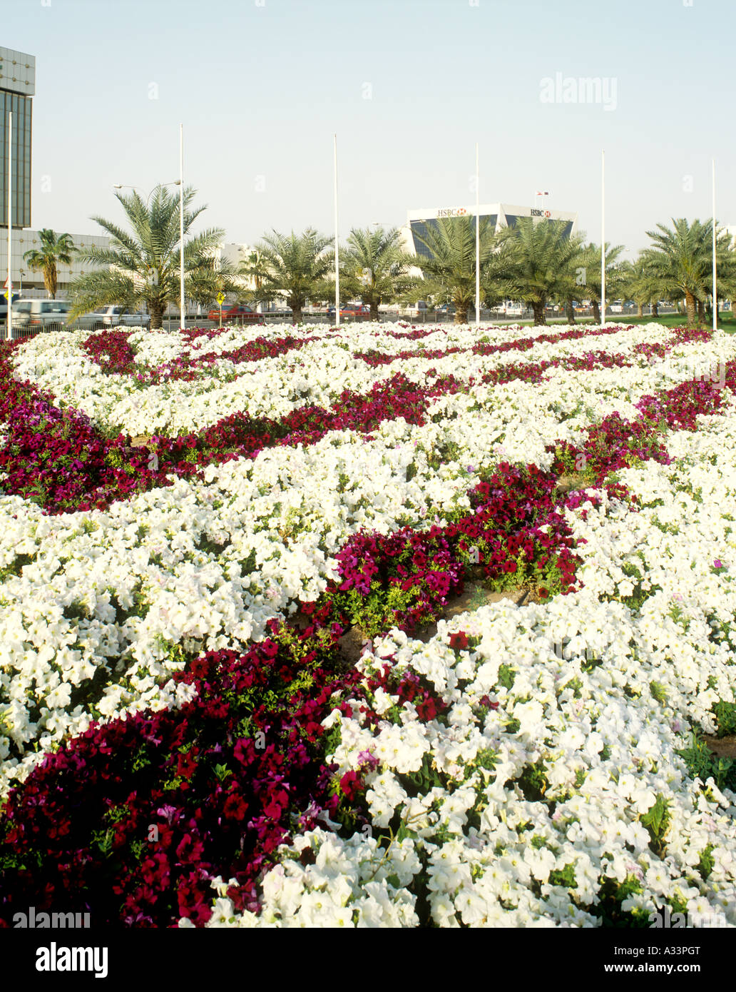 Un giardino sul ciglio della strada a Doha in Qatar Foto Stock