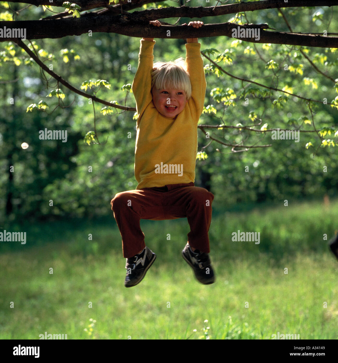 Ragazzo che indossa un maglione giallo e marrone pantaloni appesi da un lembo di albero durante il gioco all'aperto Foto Stock