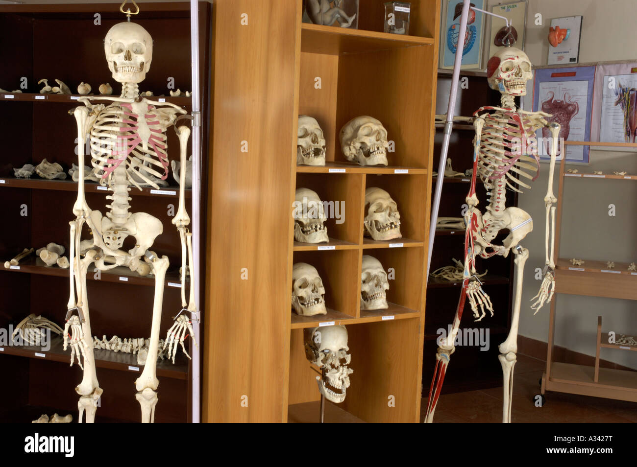 Collegio MEDICO INTERNO SUT MEDICAL COLLEGE VATTAPARA TRIVANDRUM Foto Stock