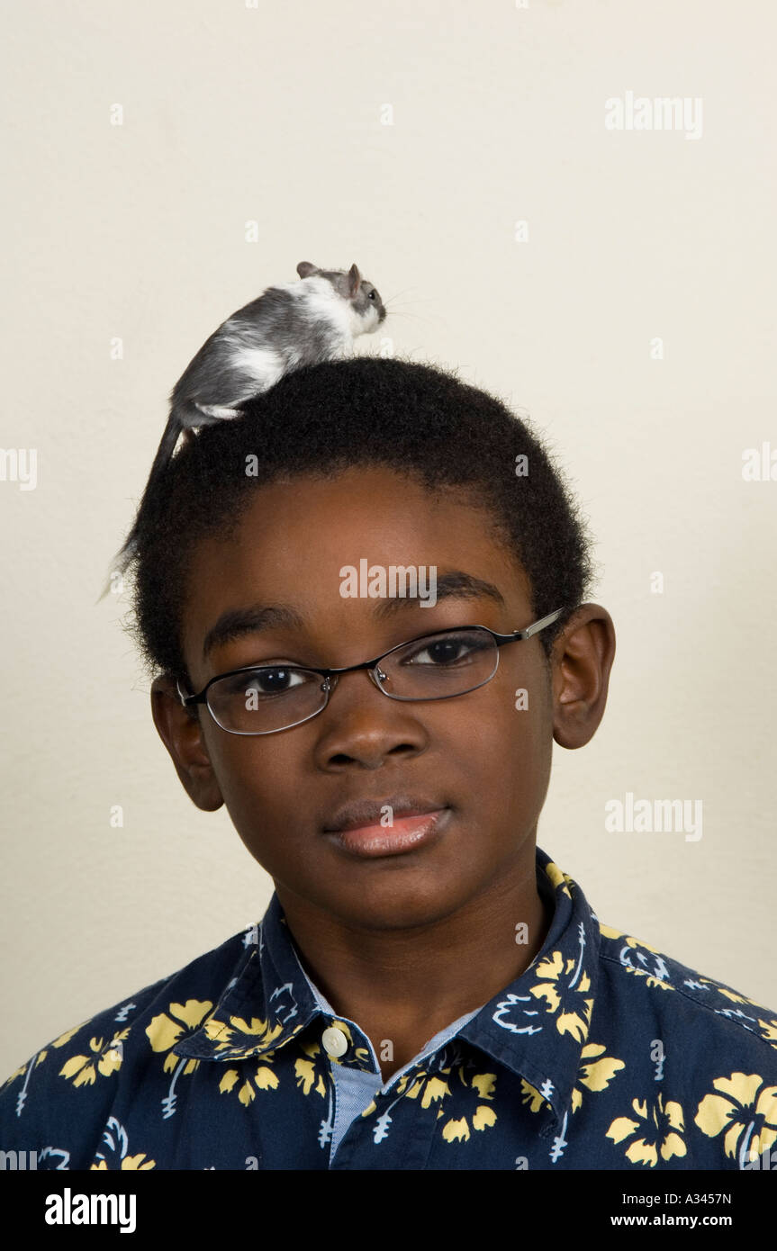 Ragazzo con il gerbillo sulla sua testa Foto Stock