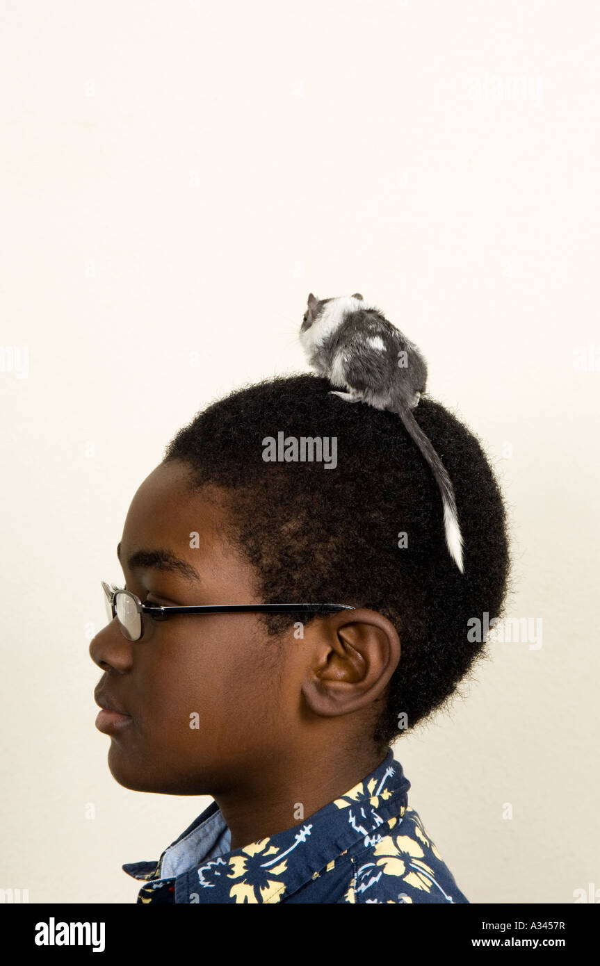 Vista laterale di un giovane ragazzo con un gerbillo sulla sua testa Foto Stock