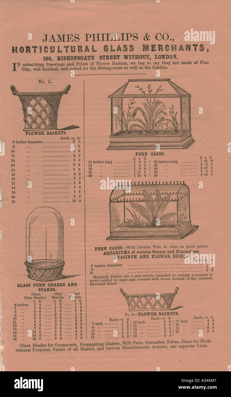Casi di felce annuncio circa nel 1870 da James Phillips, Londra Foto Stock
