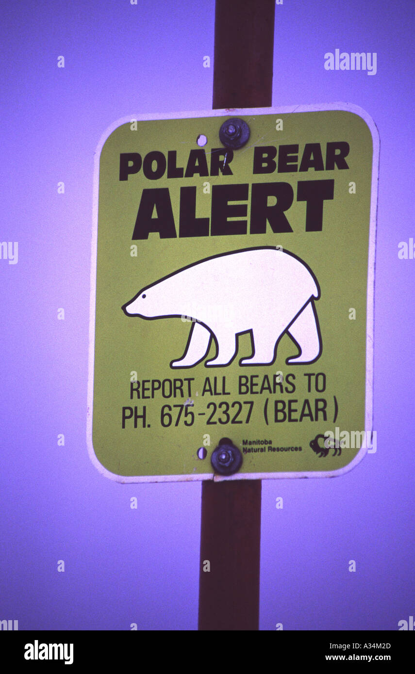Orso polare in segno di avviso Foto Stock