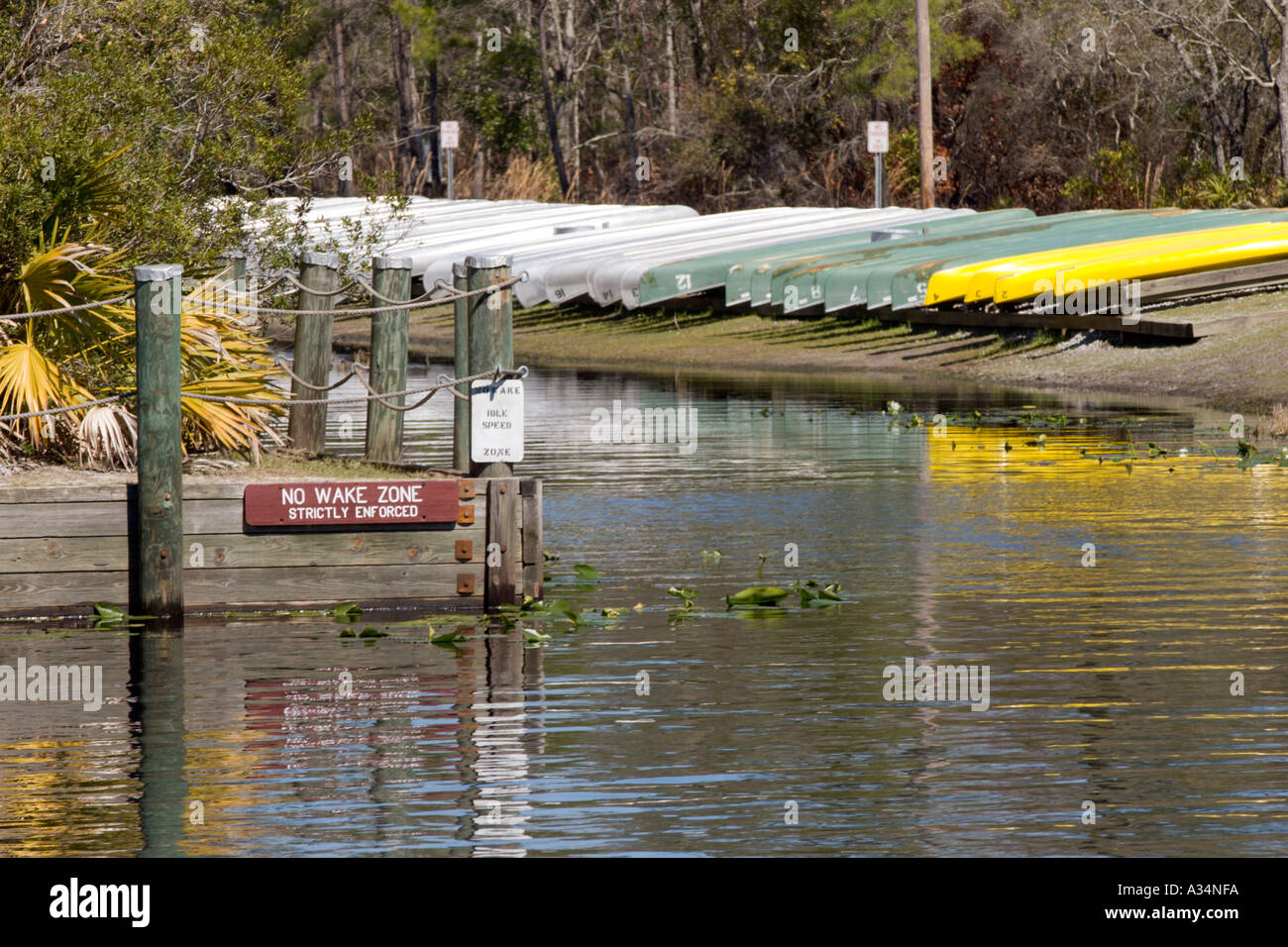 Piroghe allineate sulla riva del Canal che conduce al Okefenokee Swamp entro la Stephen C Foster parco dello stato della Georgia NEGLI STATI UNITI Foto Stock