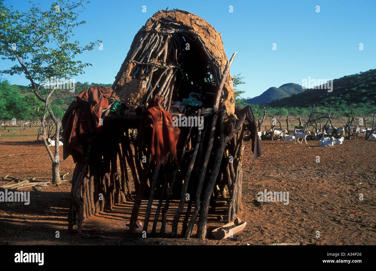 Capannone per il rimessaggio interno Kraal Himba tribù Ovahimba Kaokoveld nomadi della Namibia in Africa Foto Stock