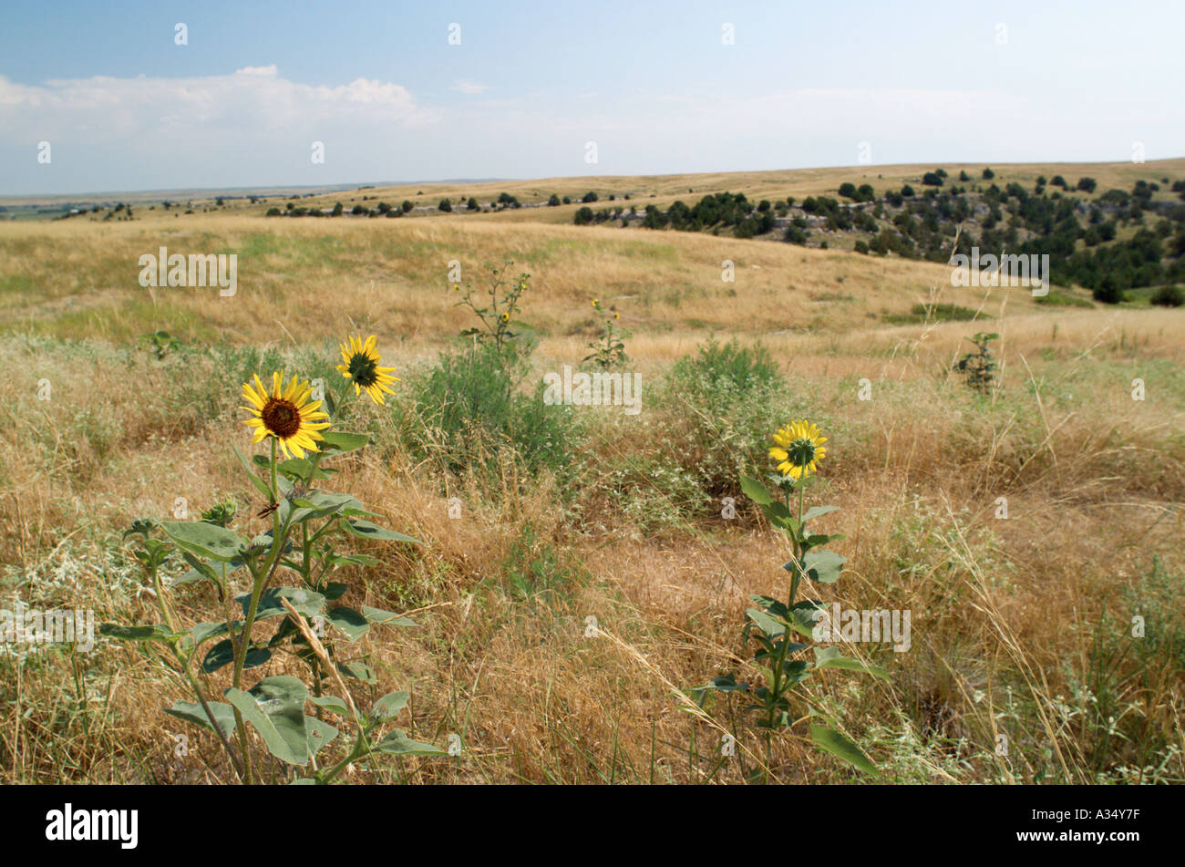 Prateria di rotolamento terre nel presente giorno western Nebraska ci ricordano i primi Pioneer s vista della Oregon e sentieri Mormone Foto Stock