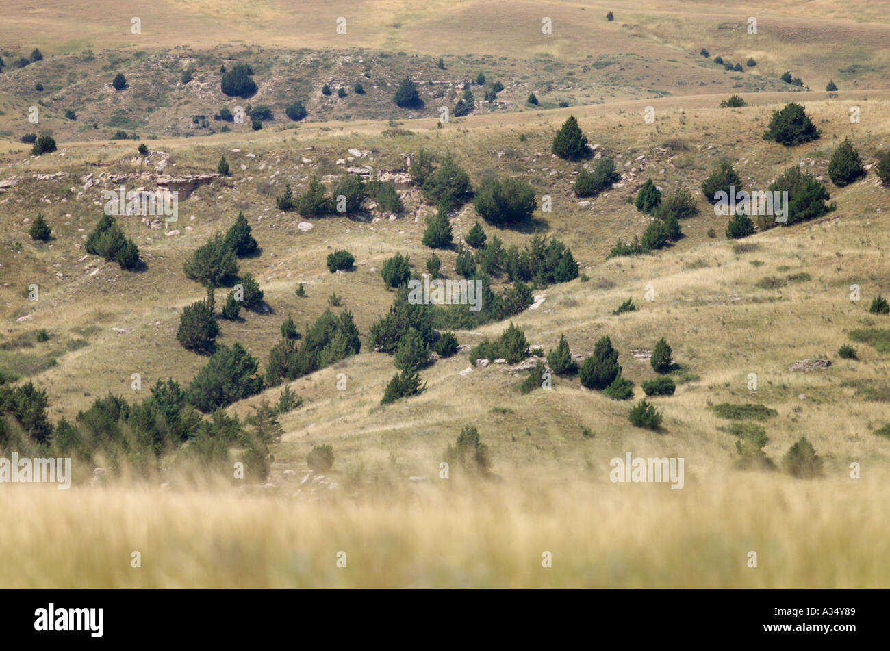 Prateria di rotolamento terre nel presente giorno western Nebraska ci ricordano i primi Pioneer vista della Oregon e sentieri Mormone Foto Stock
