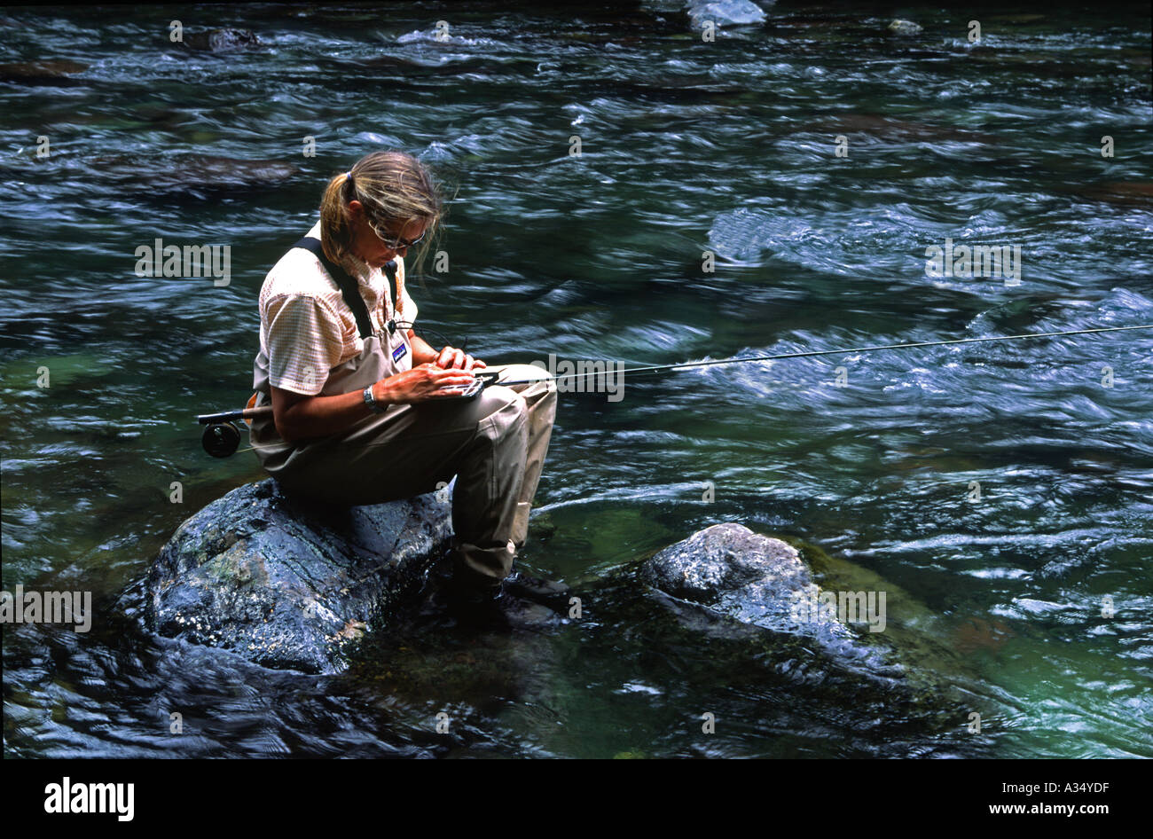 Femmina pescatore a mosca modifica modello fly immagine rilasciata Foto Stock