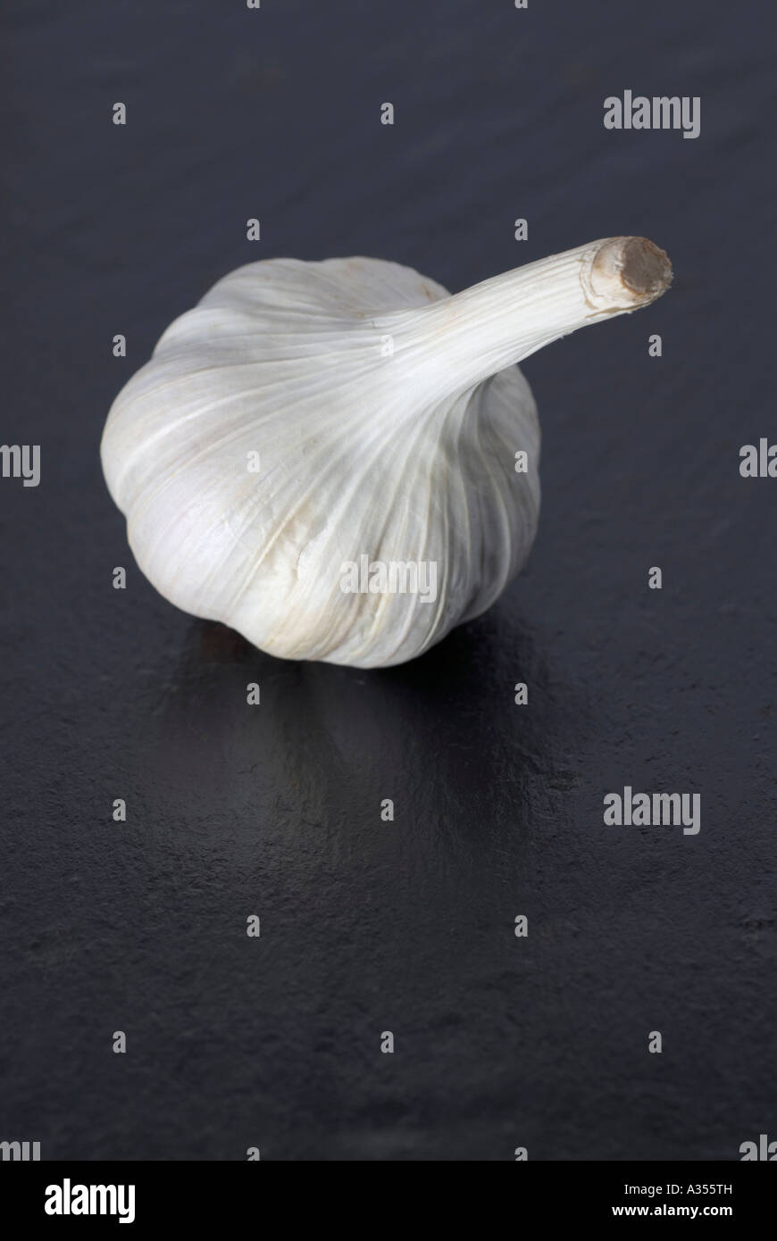 Unico BULBO Aglio su un letto di ardesia Foto Stock