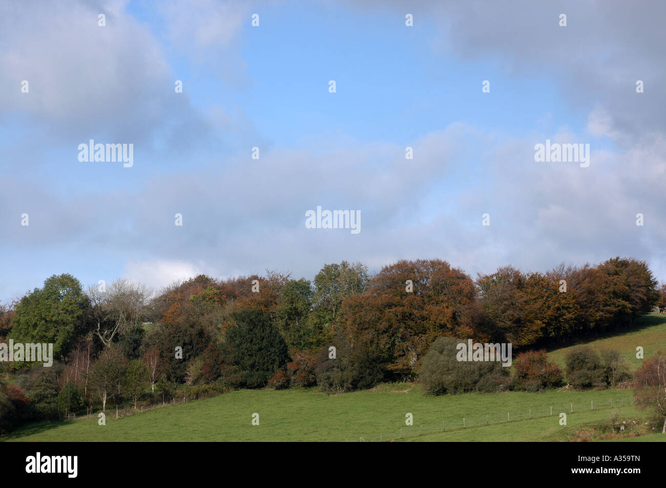 GV di Clatworthy serbatoio sulla Exmoor il più tardi rispetto al solito Autunno colori insieme con il cielo blu e nuvole bianche Foto Stock