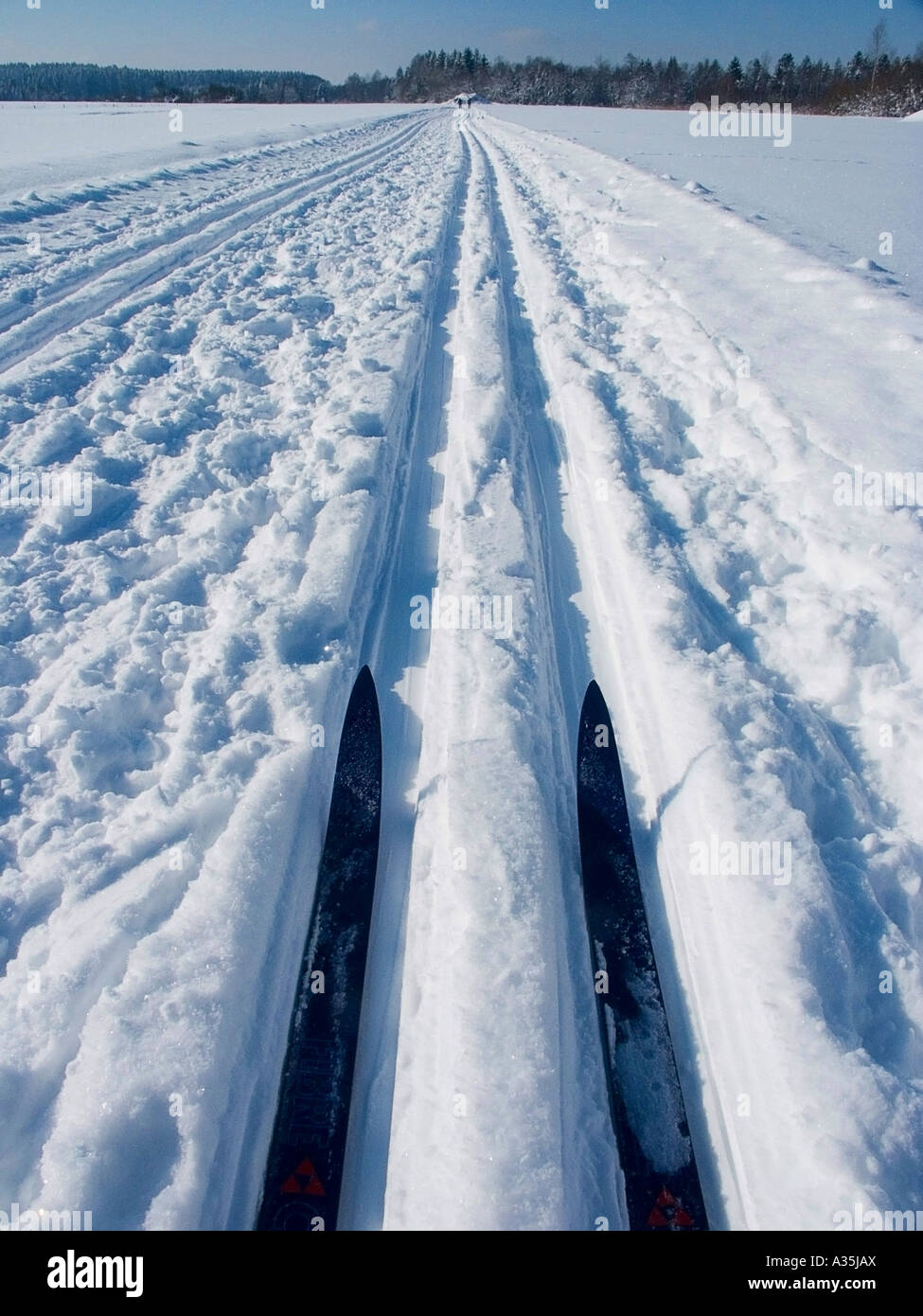 Sciare in un bel wintermood Foto Stock