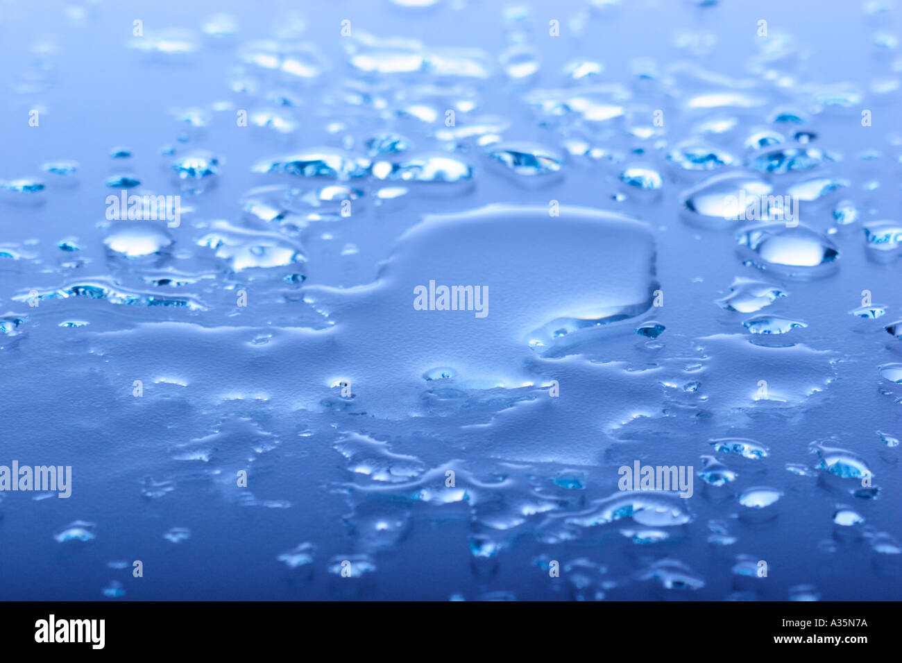 Le goccioline di acqua sulla superficie bagnata Foto Stock