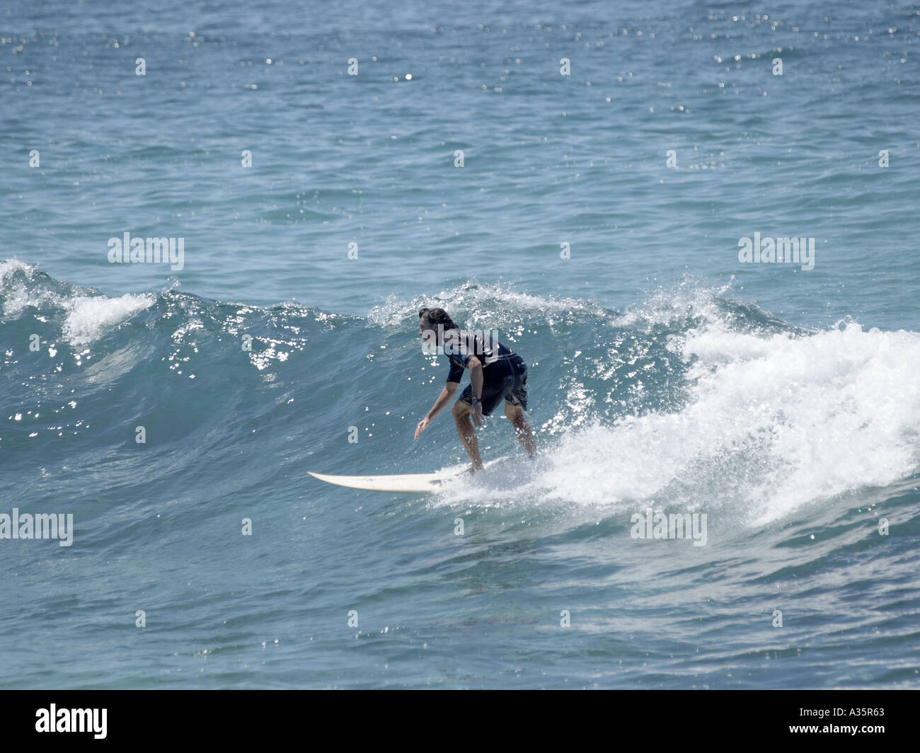 SURFER wave riding BRONTE BEACH New South Wales AUSTRALIA Foto Stock