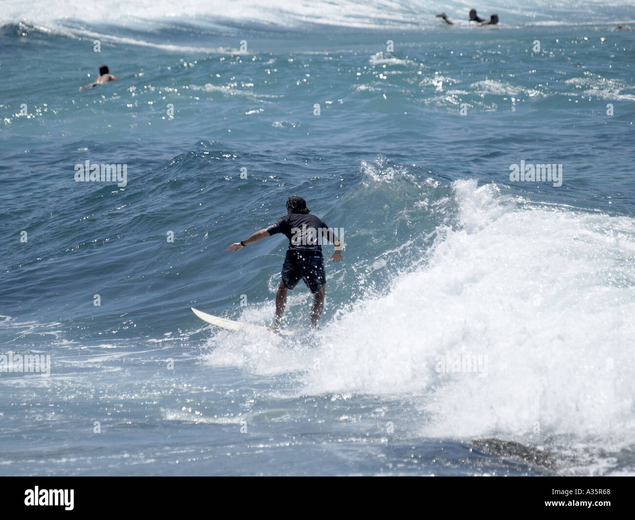 SURFER wave riding BRONTE BEACH New South Wales AUSTRALIA Foto Stock