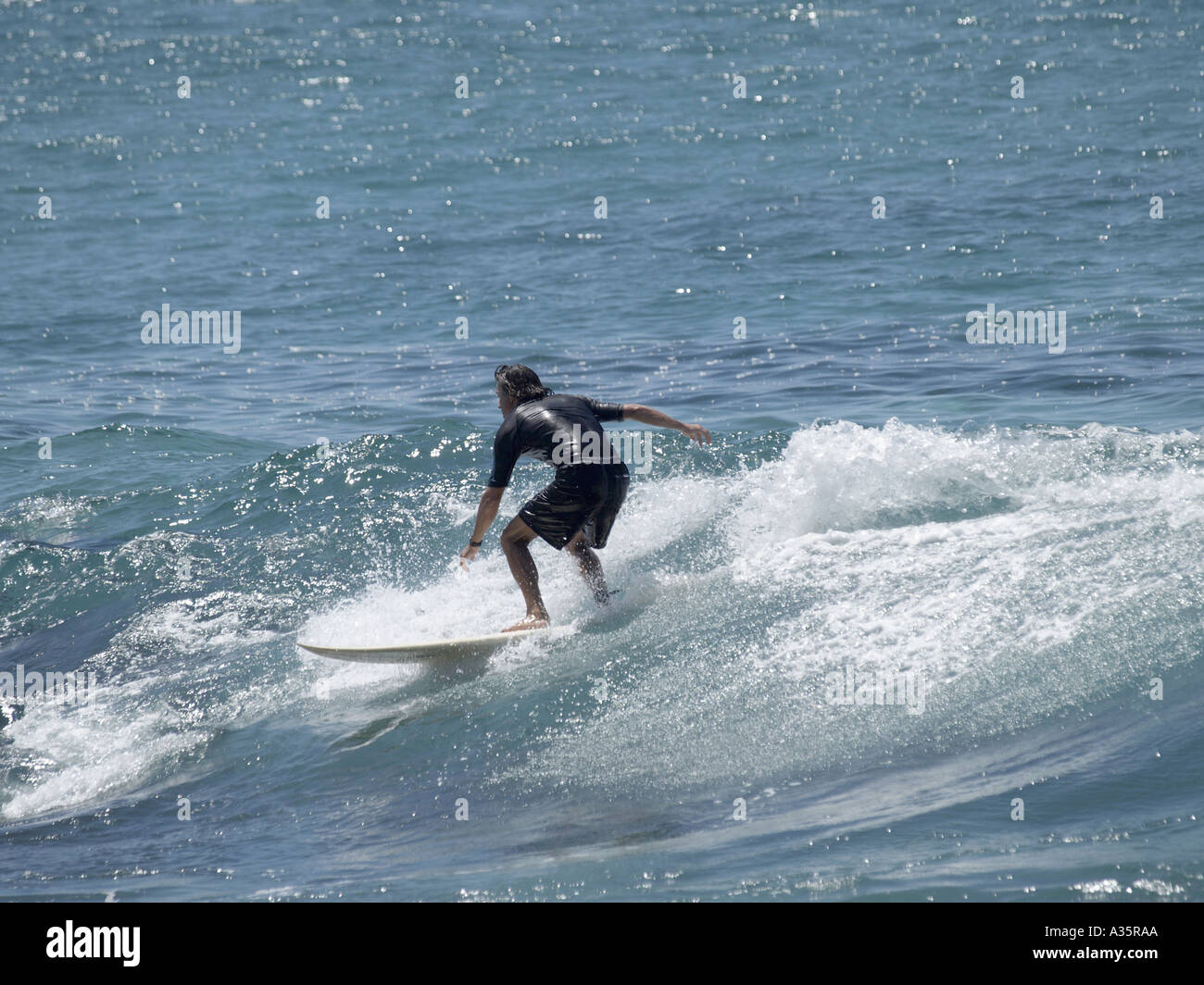 SURFER wave riding BRONTE BEACH New South Wales AUSTRALIA Foto Stock