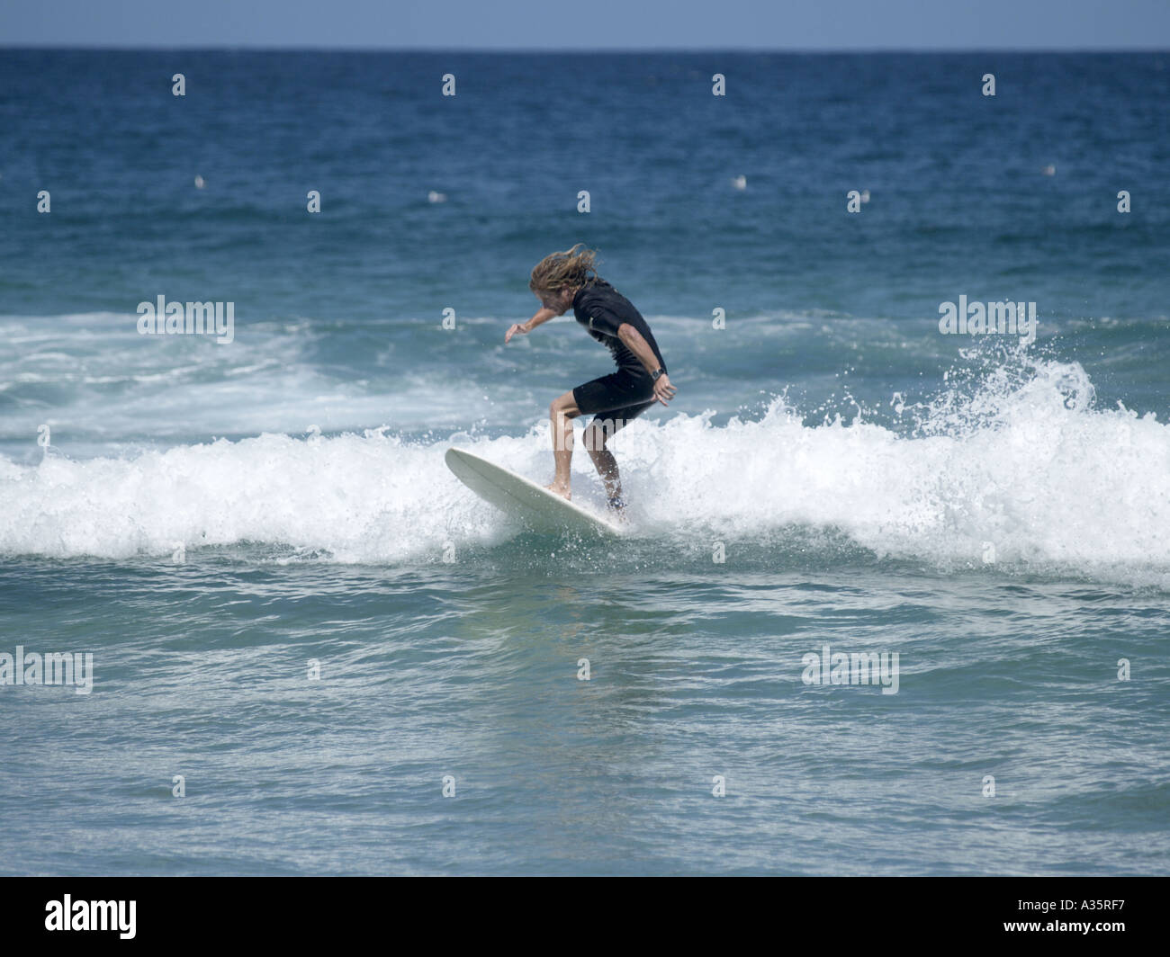 SURFER a Bondi Beach, Nuovo Galles del Sud, Australia. Foto Stock