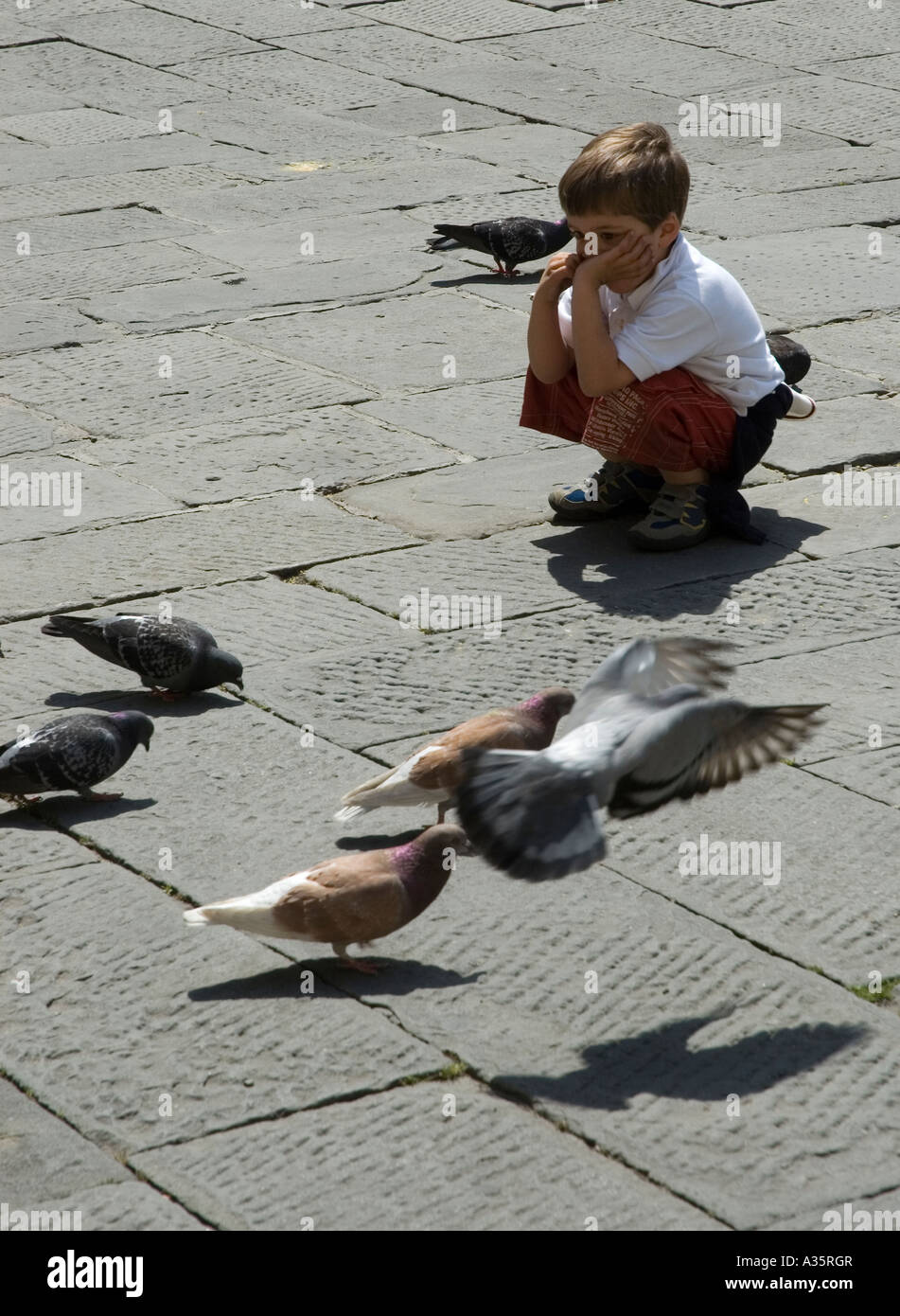 Ragazzo giovane guardando piccioni in Piazza a Pistoia, Italia Foto Stock