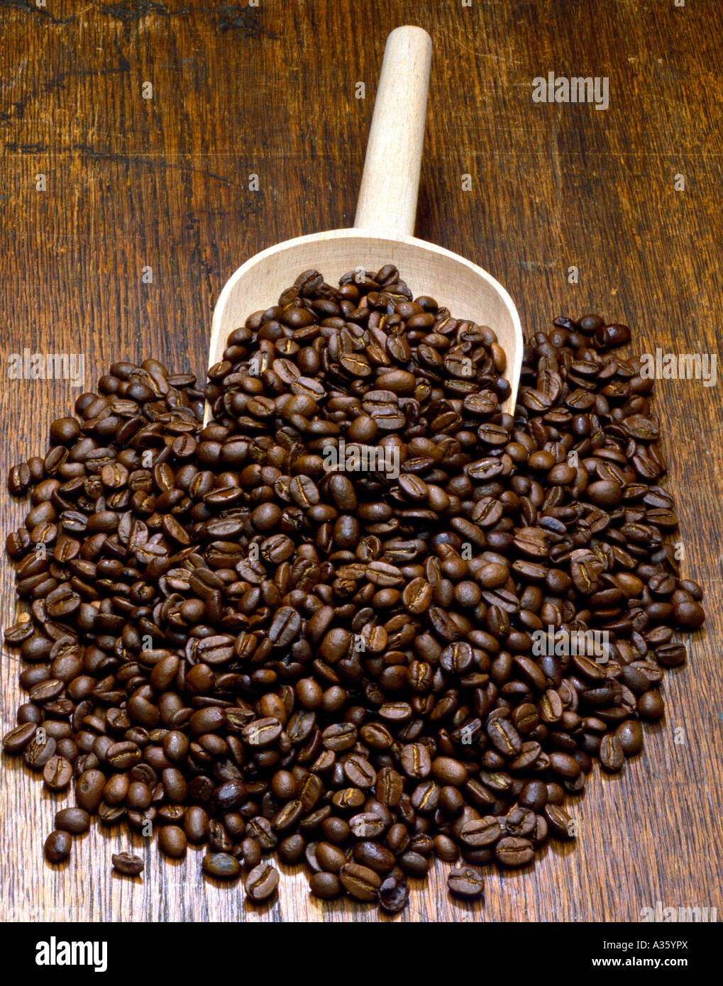 Kaffeebohnen Geroestete, chicchi di caffè tostati Foto Stock