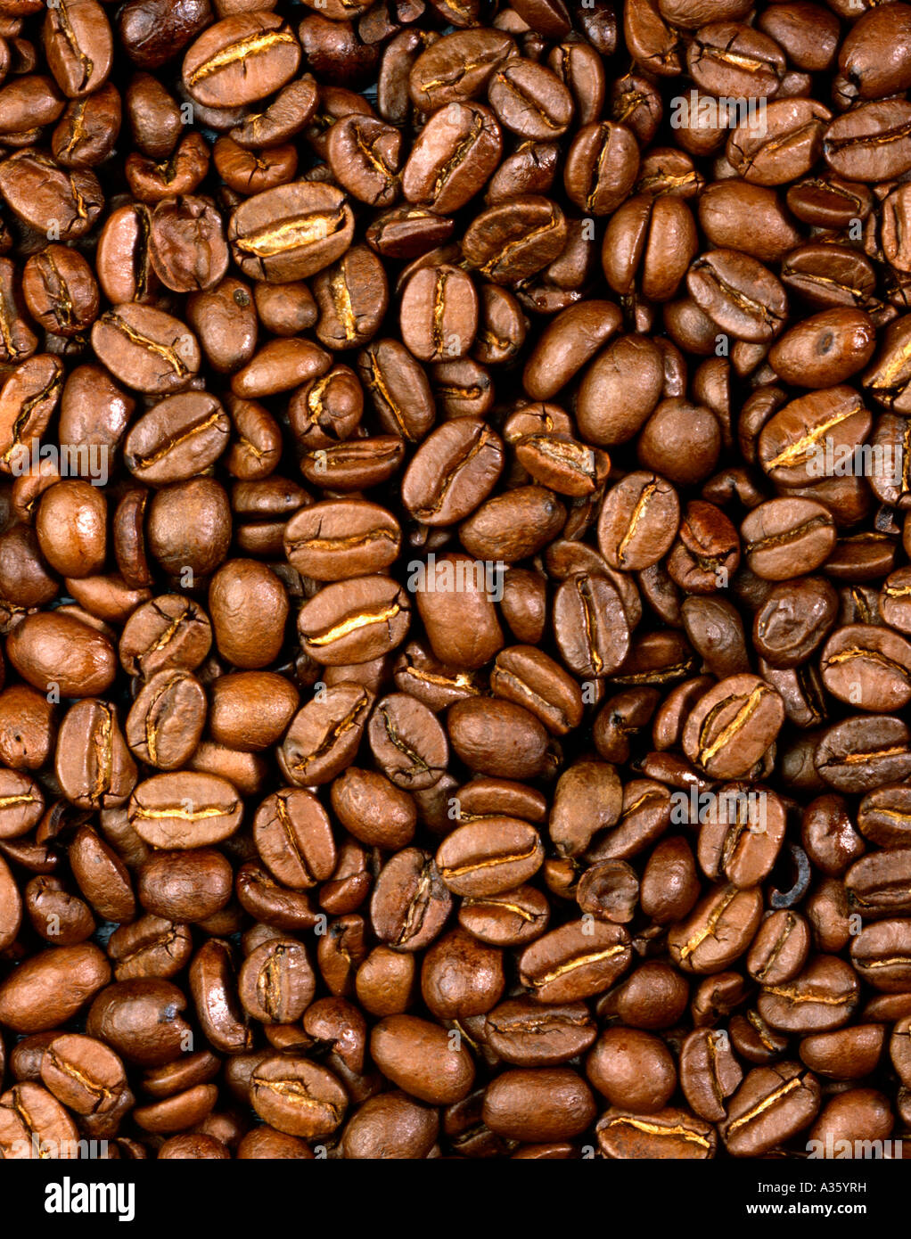 Kaffeebohnen Geroestete, chicchi di caffè tostati Foto Stock