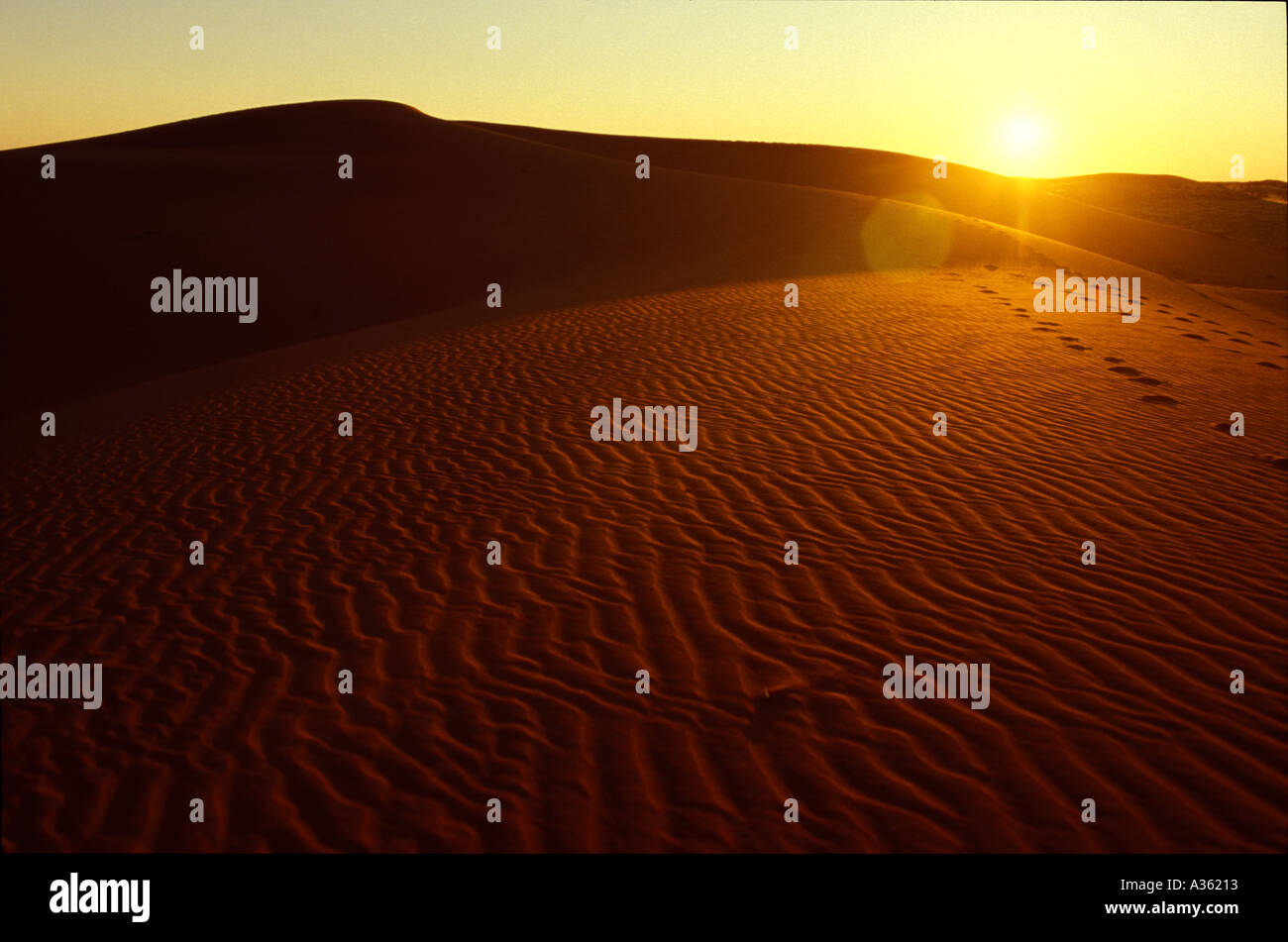 Desert Sun 0150 Foto Stock
