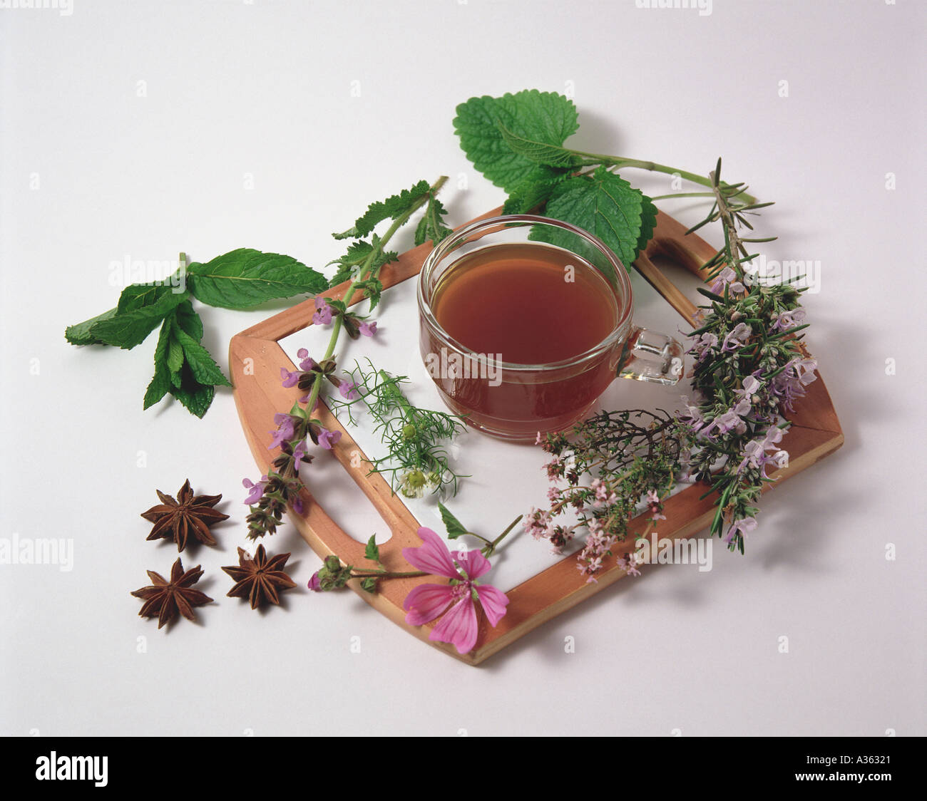 Infusione di erbe officinali Foto Stock