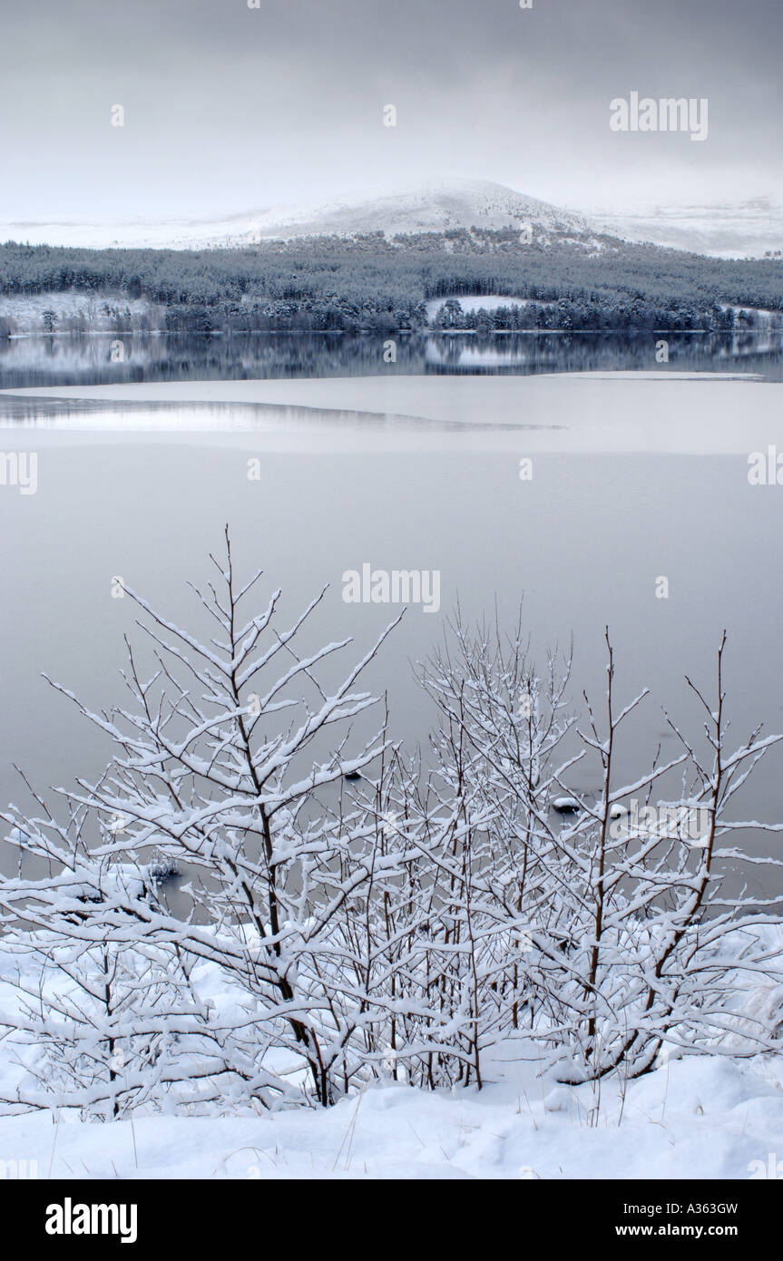 Loch Morlich nella morsa di inverno, Strathspey Highlands Scozzesi. XPL 4556-430 Foto Stock
