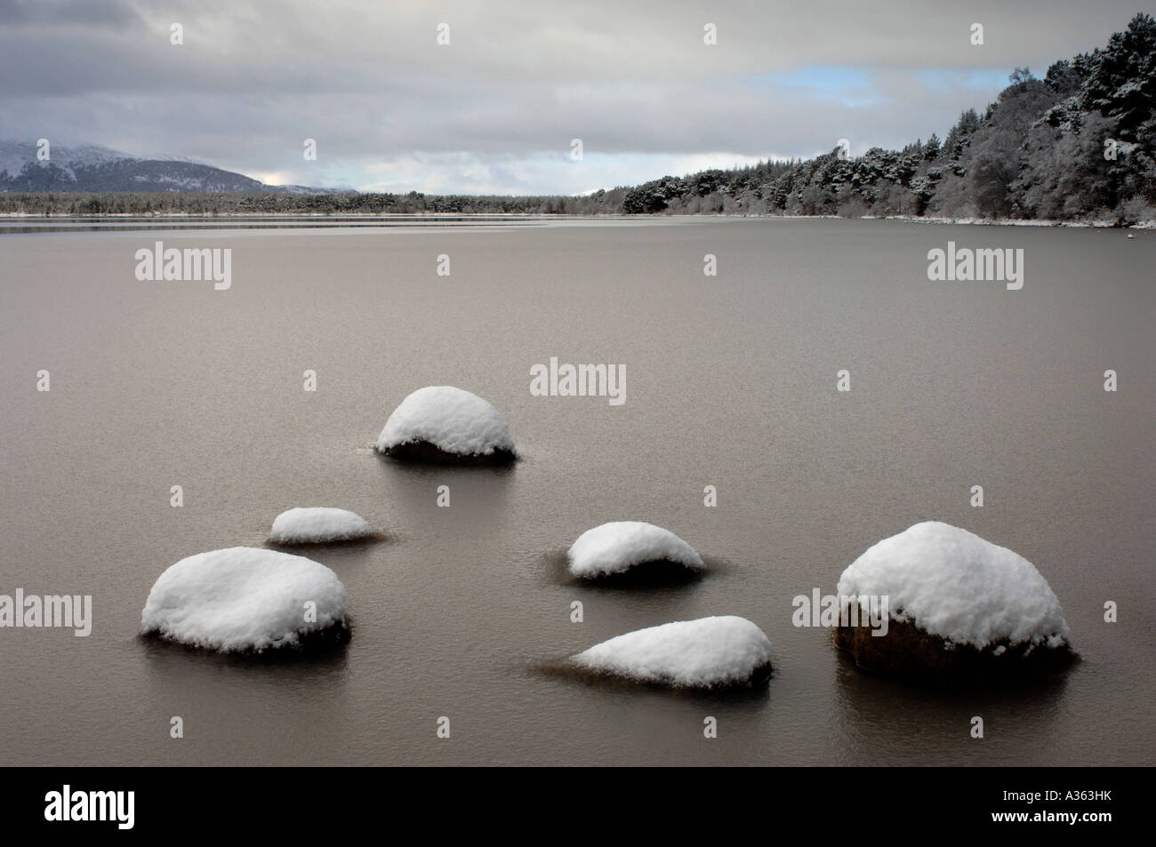 Loch Morlich nella morsa di inverno, Strathspey Highlands Scozzesi. XPL 4558-430 Foto Stock