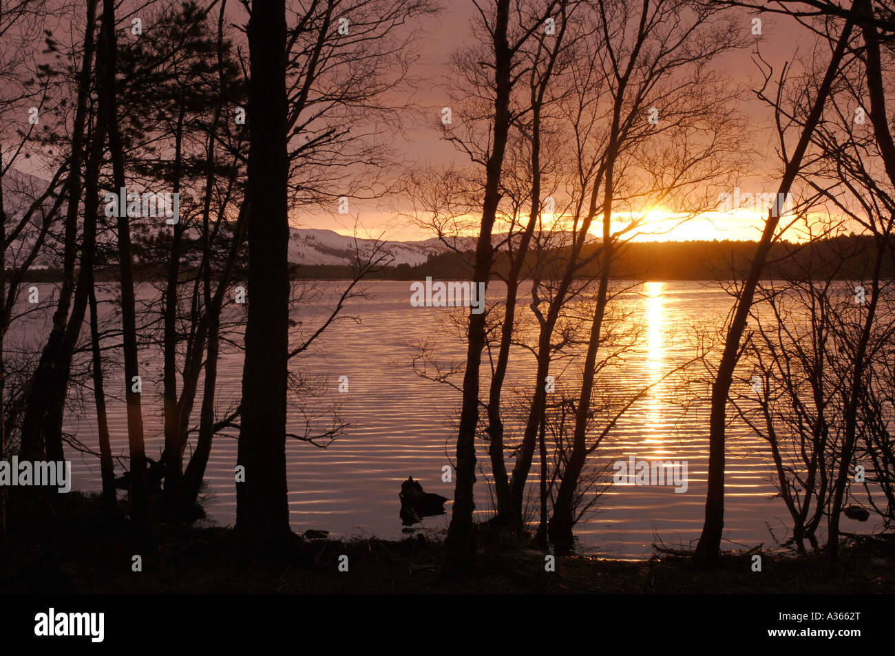 Loch Garten tramonto, Strathspey, regione delle Highlands. La Scozia. XPL 4520-427 Foto Stock