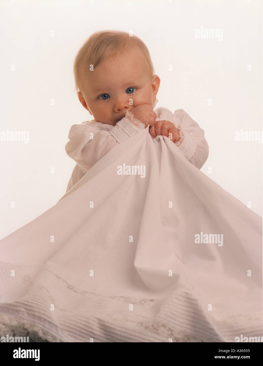 Il bambino di sei mesi con i capelli biondi e gli occhi blu su sfondo bianco Foto Stock