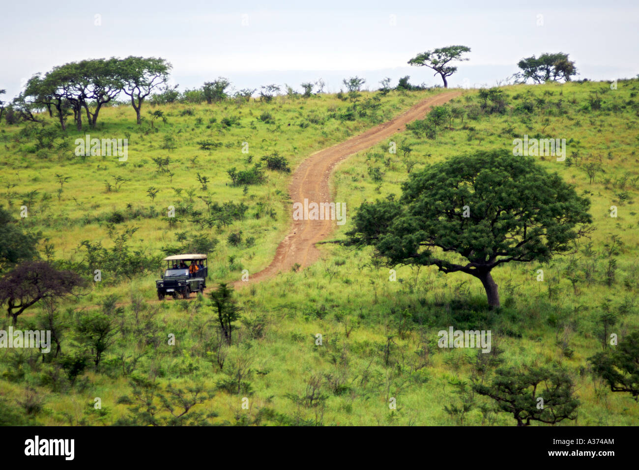 Un gioco di guida del veicolo di prendere i turisti su un game drive nel Sud Africa Hluhluwe-Umfolozi Parco Nazionale. Foto Stock