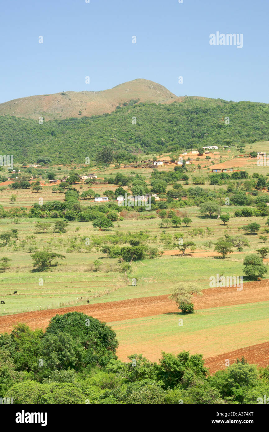 Scenario 20 km circa a nord di Piggs Peak nel distretto di Hhohho dello Swaziland. Foto Stock